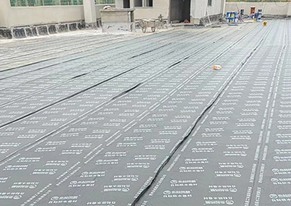 修文职校产业园防水工程